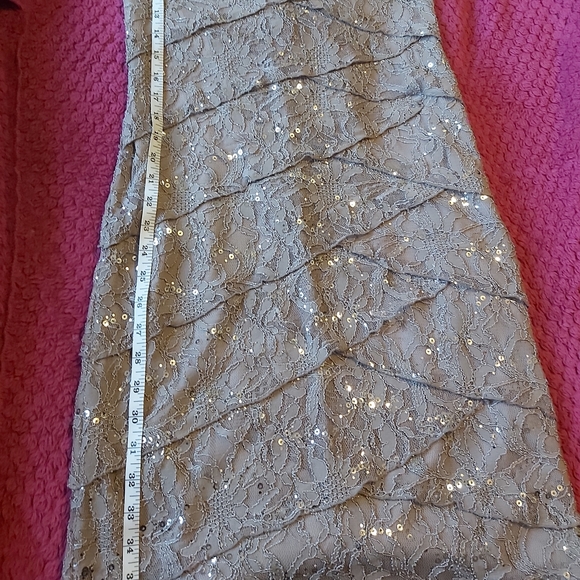 EUC Lace and Sequin Dress - Picture 9 of 9
